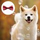 thumbnail image 3 of Corbata formal para perros medianos y grandes., 3 of 5