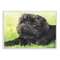 Stupell Industries Brussel Griffon Pet Dog Portrait Green Black Wall Plaque, 10 x 15, Design by George Dyachenko