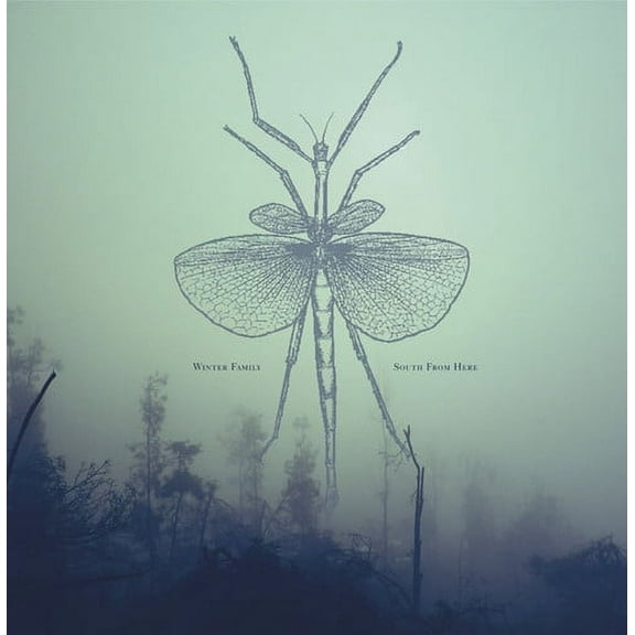Winter Family - South From Here - Rock - Vinyl