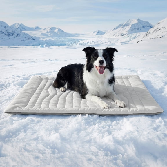 Eurhowing Dog Cooling Mat, Q-MAX>0.5 Self Cooling Pet Mat for Dogs & Cats, Waterproof Summer Ice Silk Pet Cooling Pad for Crate Bed Car, Small 16"x20", Gray