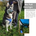 thumbnail image 3 of No Pull Dog Harness Adjustable Reflective Oxford Easy Control Medium Large Dog Harness with A Free Heavy Duty Dog Leash, 3 of 7