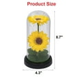 thumbnail image 2 of Artificial Sunflower in Glass Dome with LED Strip, Gifts for Women Mom Wife on Xmas,Valentine Day,Wedding,Mothers Day,Anniversary, Warm Night Light for Bedroom, Red, 2 of 3