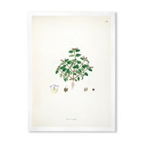 Designart 'Ancient Plant Life XIII' Farmhouse Framed Art Print