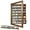 Walnut, variant on 7 Rows Military Challenge Coin Holder Display Cabinet with HD Tempered Glass – Holds 100 Coins, Wooden Medal Shadow Box Display Case with Removable Shelves, Wall Mount or Tabletop Display, RusticWood
