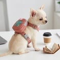 thumbnail image 6 of Breathable Sleeveless Pet Harness Set • Reflective Walking Lead Chain • Adjustable No-Pull Chest Strap • Lightweight Escape-Resistant Outdoor Gear, 6 of 6