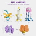 thumbnail image 2 of Nocciola Small Medium Dog Toys, Chenille Fabric Squeaky Toys, Keep Dogs Busy, Plush Durable Stuffed Crinkle Pet Chew Toys for Medium, Small Puppy Dogs, Ideal for Doggie Birthday Gifts, 5 Packs, 2 of 7