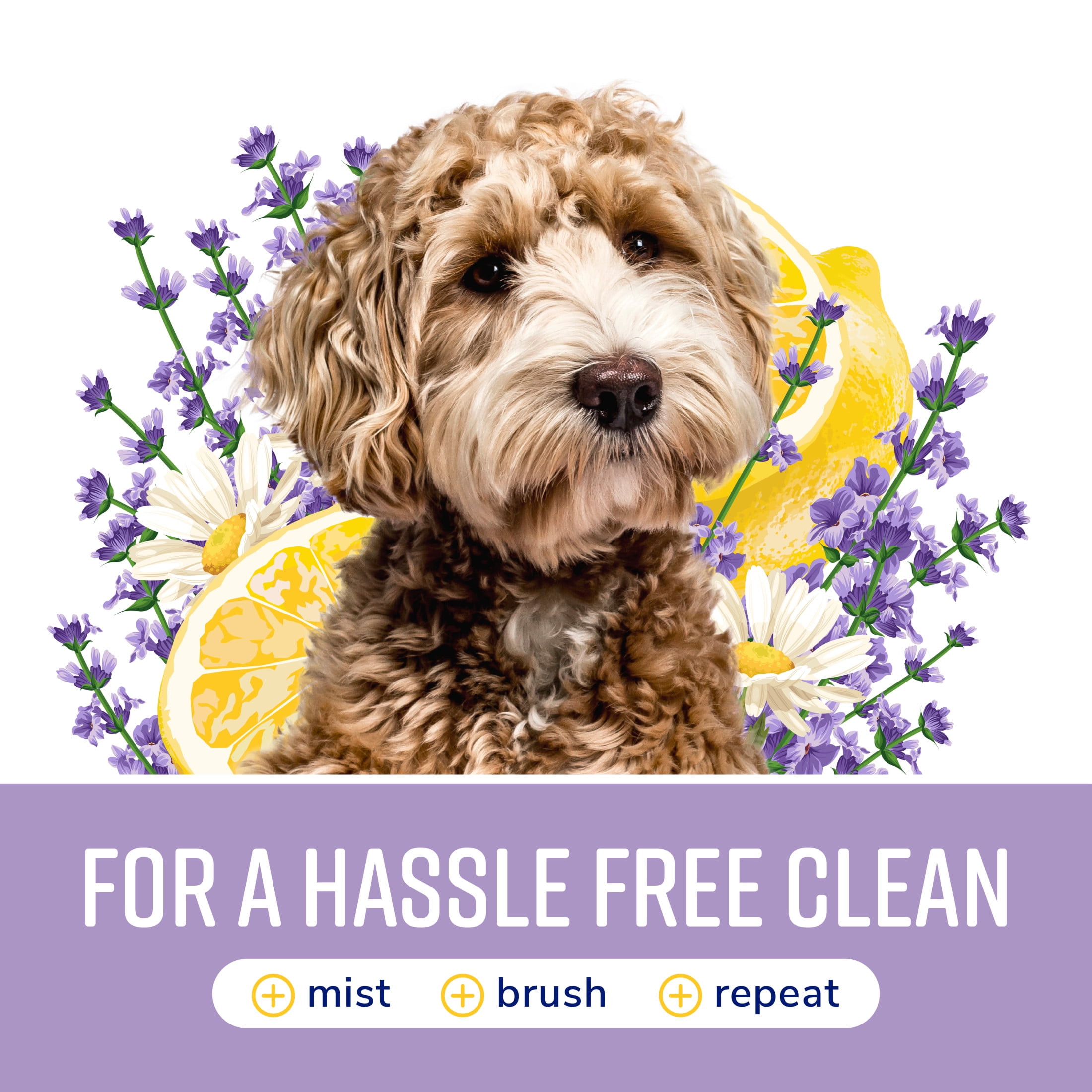 Naturel Promise Fresh & Soothing Lavender Escape Deodorizing Spray for Dogs, 8 fl oz