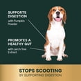 thumbnail image 3 of VetriScience Scoot Control Chews for Dogs, Duck, 40 Count, 3 of 6