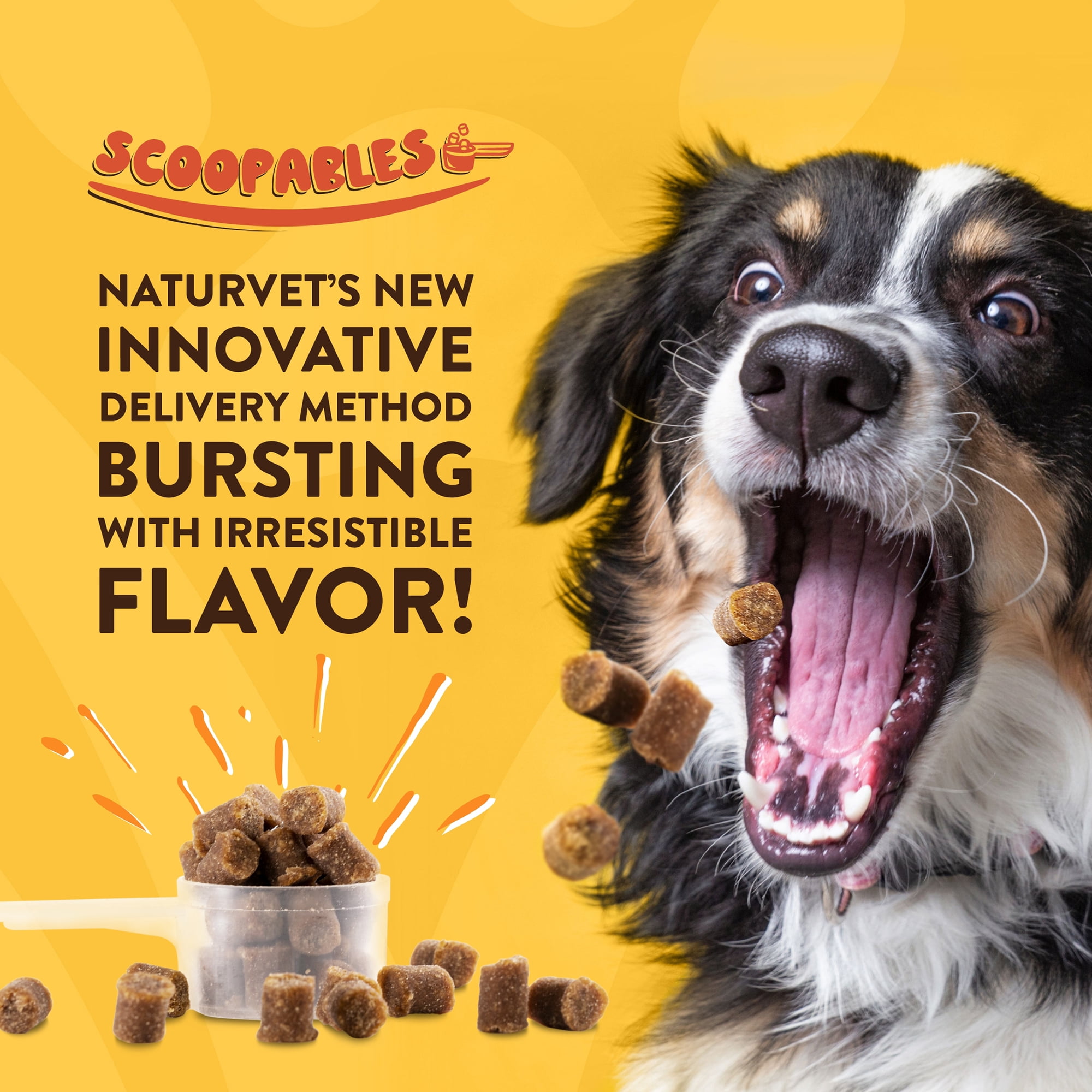 NaturVet Scoopables All-In-One Daily Essentials Dog Supplements