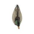 thumbnail image 5 of (2 pack) Falls River Mallard 6 Pack Duck Decoys, 5 of 11