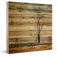 thumbnail image 2 of Parvez Taj Tree Stands Alone Pinewood Wall Art, 18" x 18", 2 of 7