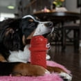 thumbnail image 7 of vecelo Bear shaped Dog Chew Toy Medium Dogs, Interactive Toys for Dogs Training Dental Care Dog Toys, 7 of 7