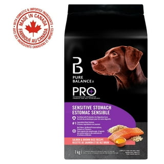 Where Can I Buy Hypoallergenic Dog Food: Top Trusted Stores Revealed