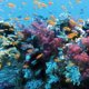 thumbnail image 3 of 3D Acuario Paisaje Póster Pecera Vivarium Fondo Sea S Yuyangstore Imagen del fondo del tanque de pescados, 3 of 8