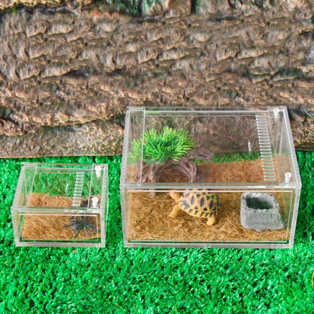ROMANSENTIAL 1Pcs Acrylic Transparent Reptile Breeding Container For Turtle Snakes Spiders 10.5X8X6Cm