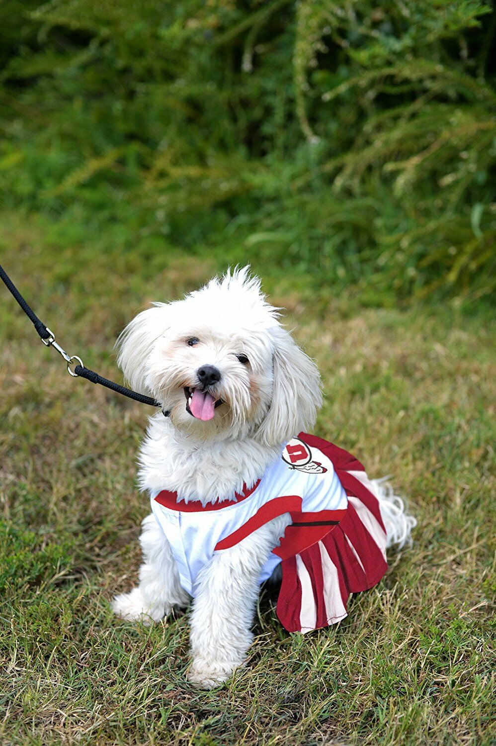 Pets First College Utah Utes Cheerleader, 3 Sizes Pet Dress Available. Licensed Dog Outfit