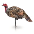 thumbnail image 3 of Montana Decoy Jake Purr-Fect XD Jake Turkey Decoy, 3 of 9