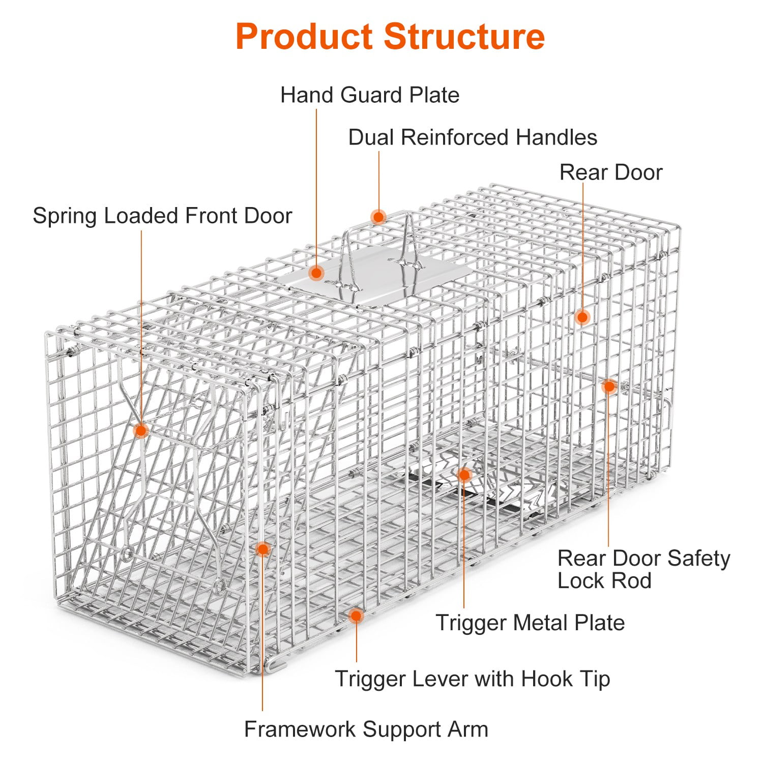 Humane Animal Trap Cage (30.51x11.02x11.81in) - Galvanized Sturdy Wire Mesh, Sensitive Trigger & Dual Doors, Handle Guard Plate, Collapsible for Raccoons, Opossums, Skunks Under 16.5lbs