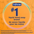 thumbnail image 4 of Softsoap Limited Edition Pumpkin Liquid Hand Soap, Kitchen or Bathroom Hand Soap, 1.47L, 4 of 11