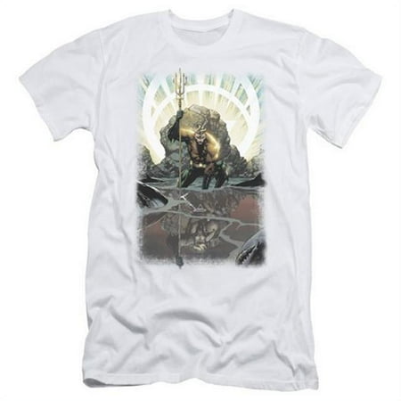 Trevco Jla-Brightest Day Aquaman Short Sleeve Adult 30-1 Tee- White - Small