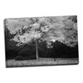thumbnail image 2 of Gango Home Decor Fall Abundance VI B&W by Vitaly Geyman (Ready to Hang); One 36x24in Hand-Stretched Canvas, 2 of 4