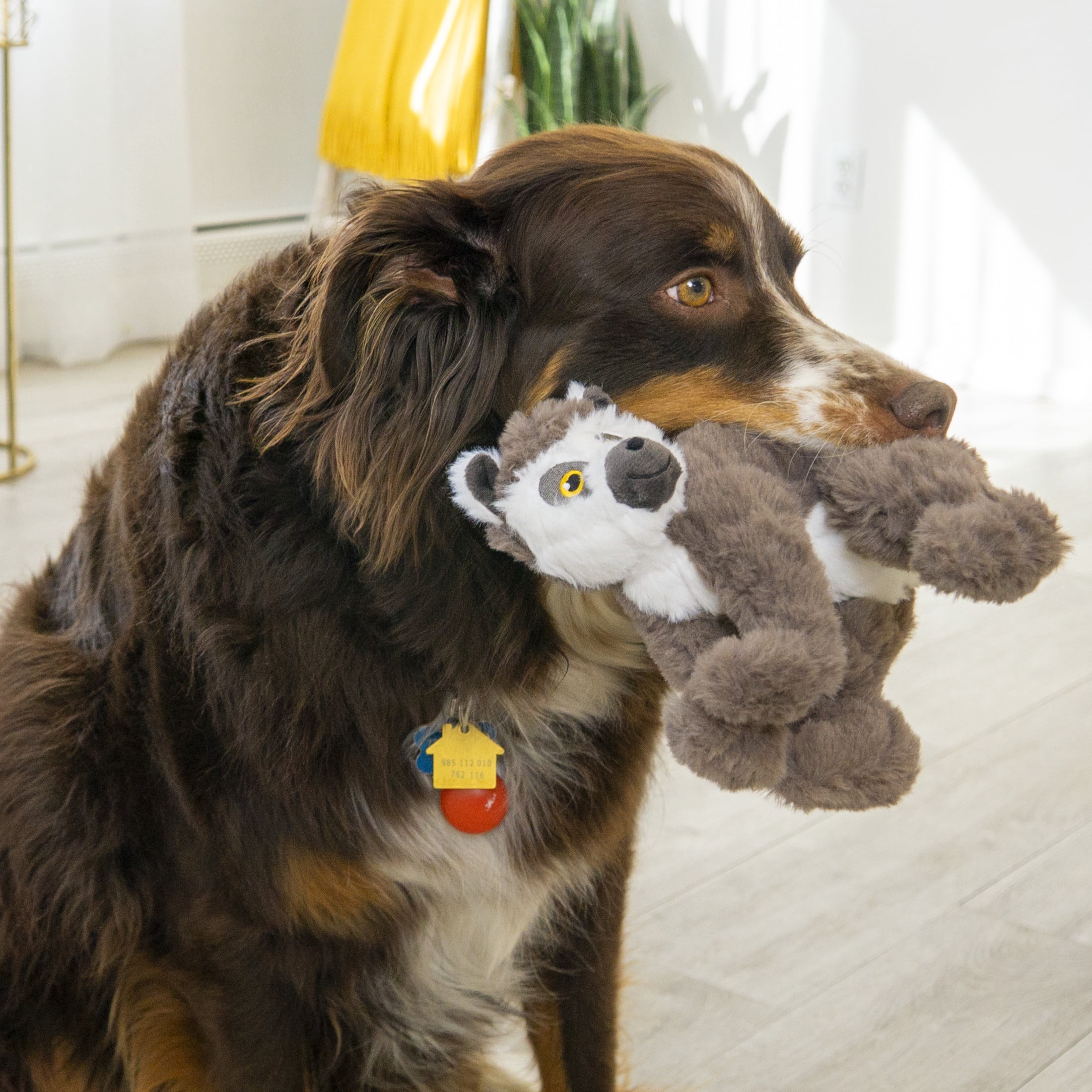 KONG® Scampers Squeaker Plush Dog Toy, Lemur, Medium