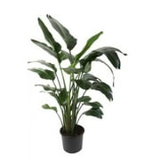ELEMENT 12IN STRELITZIA WHITE BIRD OF PARADISE
