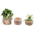 thumbnail image 1 of Juego de 3 piezas para terrarios, suculentas y velas de té Soporte de madera para plantas de aire hecho a mano, 1 of 6