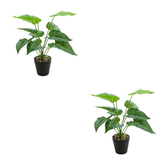 Matsuzay Hojas artificiales de la planta en maceta de la tortuga realista para el dormitorio de la sala de estar ningún riego JH5471 2Conjunto
