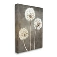 thumbnail image 3 of Stupell Industries Fluffy Dandelion Plants Wildflower Botanical Blooms Graphic Art Gallery Wrapped Canvas Print Wall Art, Design by Kim Allen, 3 of 7