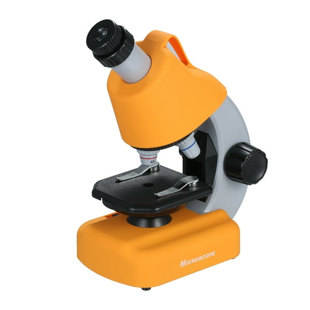 Labymos Microscope pour enfants grossissement 40X ~ 1200X Mini kit de  microscope de bureau pour débutant à piles avec lumière LED pour garçons  filles étudiants sciences enfants curieux 