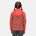 thumbnail image 3 of Regatta - Polar Dissolver V para Niños/Niñas (Coral Fusión, Melocotón Neón), 3 of 6