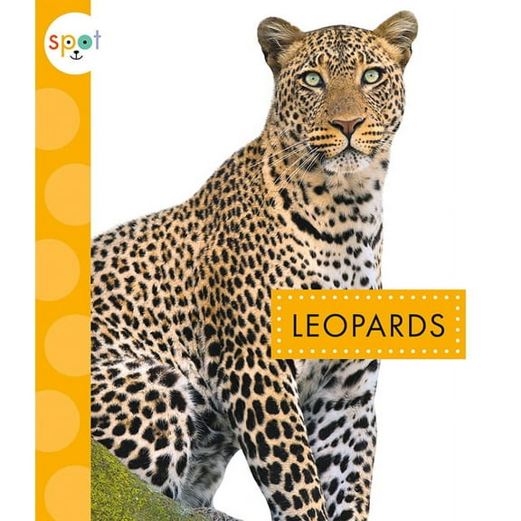 Spot Wild Cats: Leopards (Paperback)