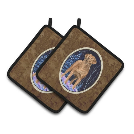 

Carolines Treasures SS8355PTHD Starry Night Chesapeake Bay Retriever Pair of Pot Holders 7.5HX7.5W multicolor