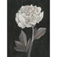 thumbnail image 3 of Harper, Ethan 19x24 Black Modern Framed Museum Art Print Titled - Black and White Flowers IV, 3 of 5