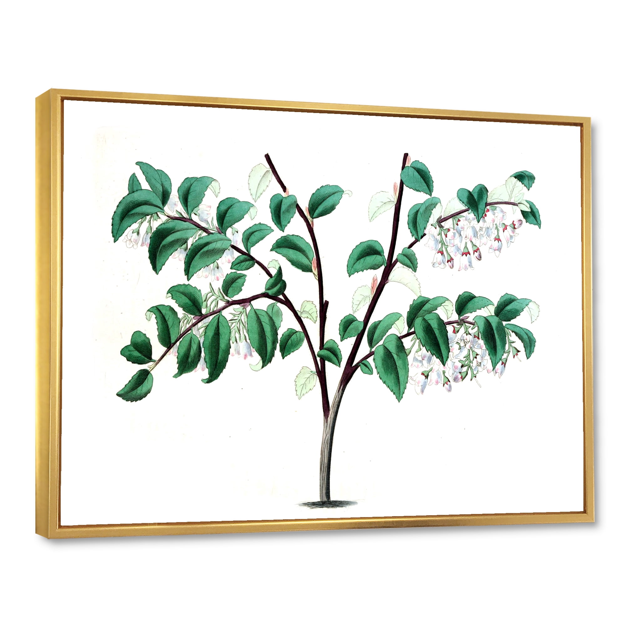 Designart 'Ancient Green Leaves Plants I' Traditional Framed Canvas Wall Art Print