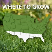 Jonathan Green 10820 Fast Grow Grass Seed, 3 lbs