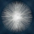 thumbnail image 2 of Young, Abby 15x15 White Modern Wood Framed Museum Art Print Titled - Sunburst on Dark Blue I, 2 of 4