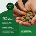 thumbnail image 4 of Geolite GMGC45L Gardening PH Neutral Draining Clay Pebbles, 45 Pound Bag, Gray, 4 of 9