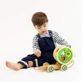thumbnail image 2 of Hape Walk-A-Long Snail Toddler Wooden Pull Toy, 2 of 6