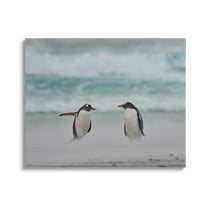Stupell Industries Penguins on Arctic Beach Animals & Insects Photography Gallery Wrapped Canvas Art Print Wall Art, 48 x 36