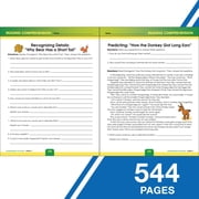 Carson Dellosa Comprehensive Curriculum of Basic Skills Workbook (544) Grade 4