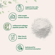 Micro Ingredients Marine Collagen Peptides Powder, 1 lb | Type I Marine Collagen + Natural Protein | Wild-Caught Fish Source - Unflavored, Pescatarian, Non-GMO
