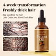 thumbnail image 4 of Gypsophila Batana Oil Shampoo and Hair Oil Lightweight Hair -Natural Hair Treatment for Women & Unisex Healthier Hair, 4 of 7