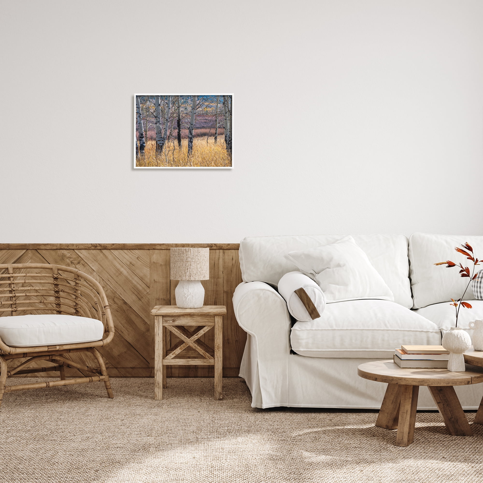 Stupell Industries Birch Trees Photography Nature Photography White Framed Art Print Wall Art, 20 x 16