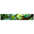 thumbnail image 6 of Vivid Colorful Frog Themed Background Banner for Party Decorations Photography Props Jungle Themed Events and Animal Lovers Gatherings, 6 of 8