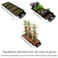 thumbnail image 3 of Autopot Tray2Grow System - Standard Set up, 3 of 10