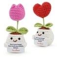 thumbnail image 4 of Encounter 2-Pack Beginner Crochet Kit for Flower Amigurumi, Complete Starter Set with Yarn and Video Tutorials, 4 of 11