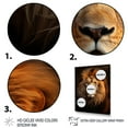 thumbnail image 3 of Designart "Lion Regal Lion" Animals Canvas Wall Art, 3 of 5