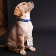thumbnail image 4 of Manchons Protecteurs de Jambes pour Chiens et Chats Réutilisables Respirants pour Activités Intérieures et Extérieures, 4 of 5
